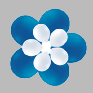 Flower balloon BK 17A