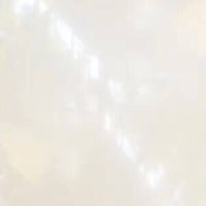 BALLON NO. 24 ORANGE BUBBLE