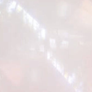 BALLON NO. 24 CORAL BUBBLE