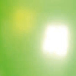 BALLON NO. 24 PAREL LIMOENGROEN