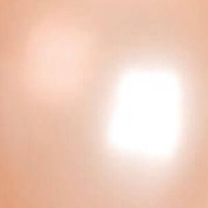 PARELBALLONS (no.14) - ZALM