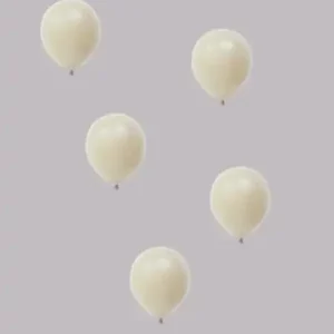 Ballon no. 12 fossil vintage